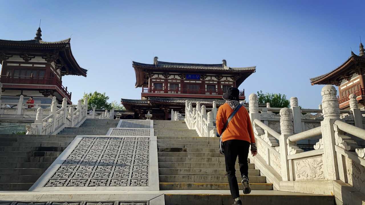 网友实拍打卡：青龙寺
