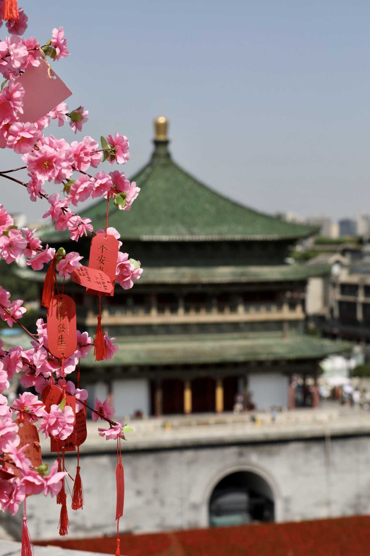 西安亲子游应该怎么玩 手把手教你西安全部景点 含华山行程