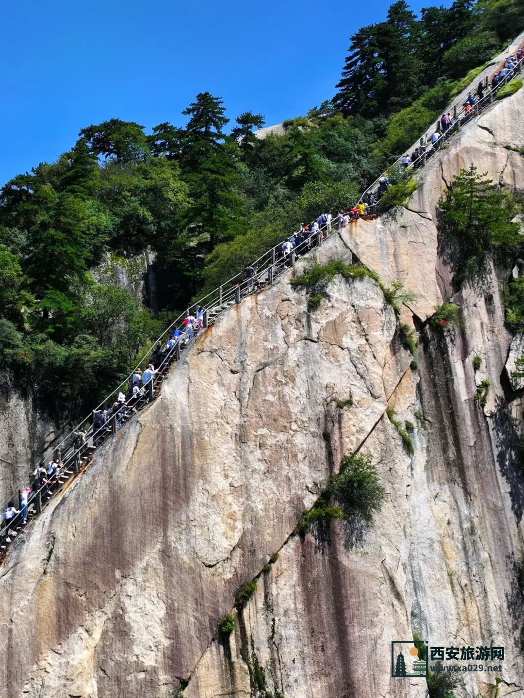 景区官方编写 登华山最全旅游攻略 含华山拍照指引