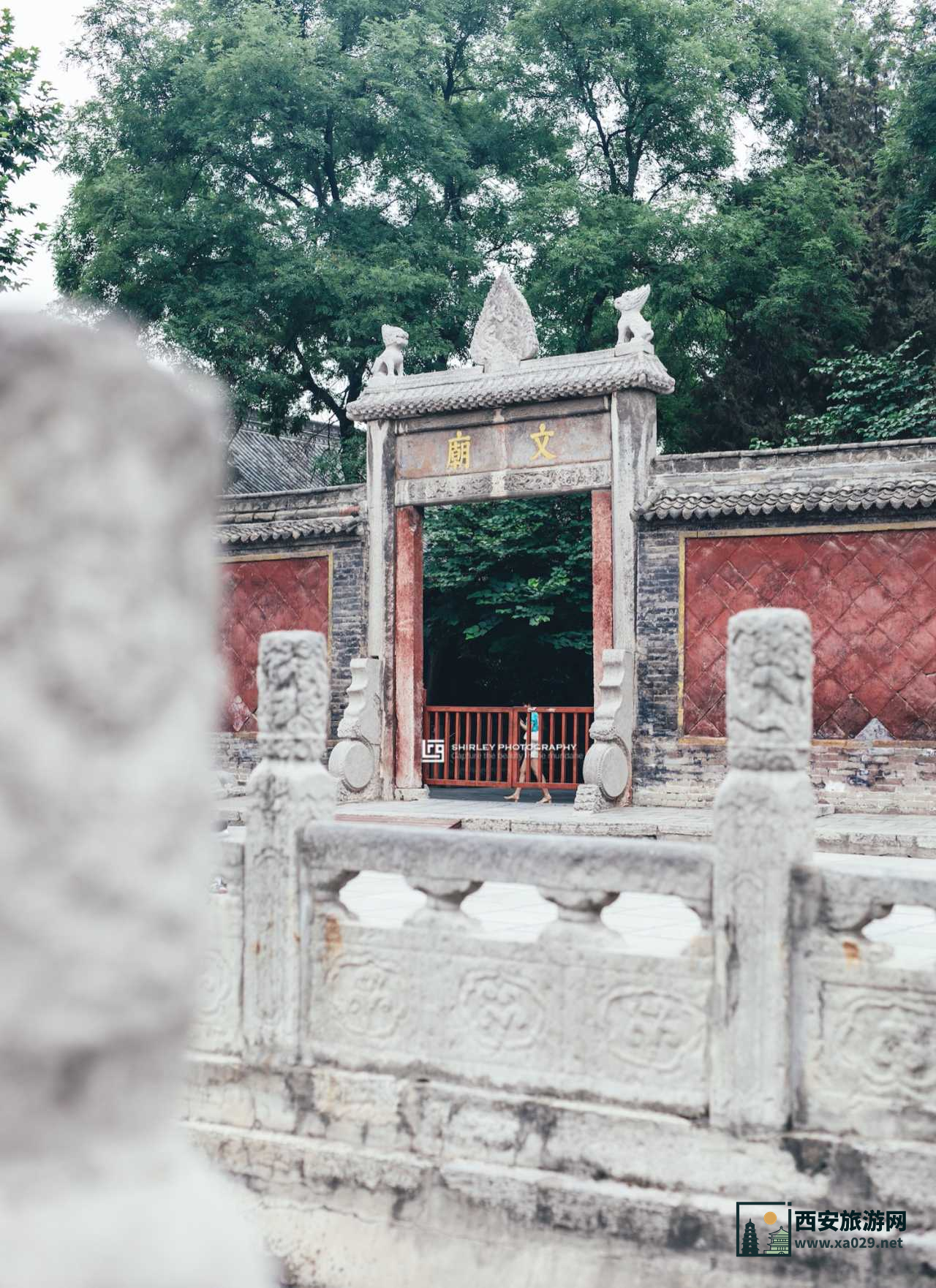 碑林｜丰碑如林，青石不朽