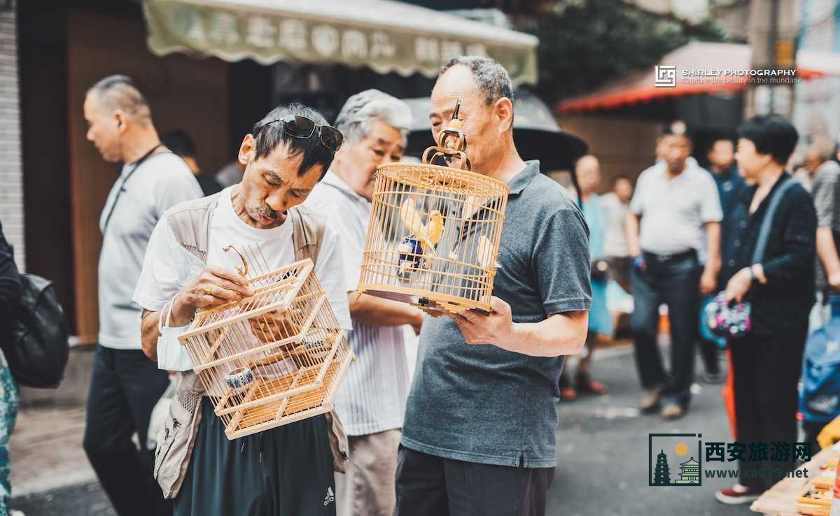 西仓花鸟市场｜西安的《清明上河图》
