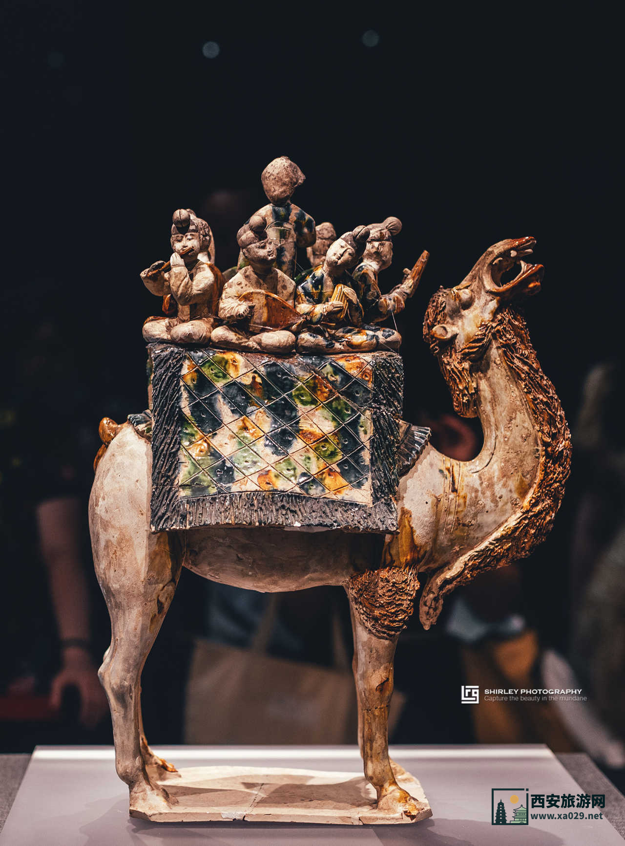 陕西历史博物馆｜博物馆奇妙日