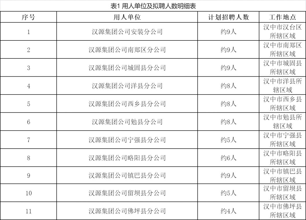 2024年汉中汉源电力（集团）有限公司招聘公告