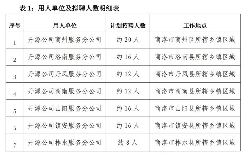 2024年商洛丹源电力（集团）有限责任公司招聘公告