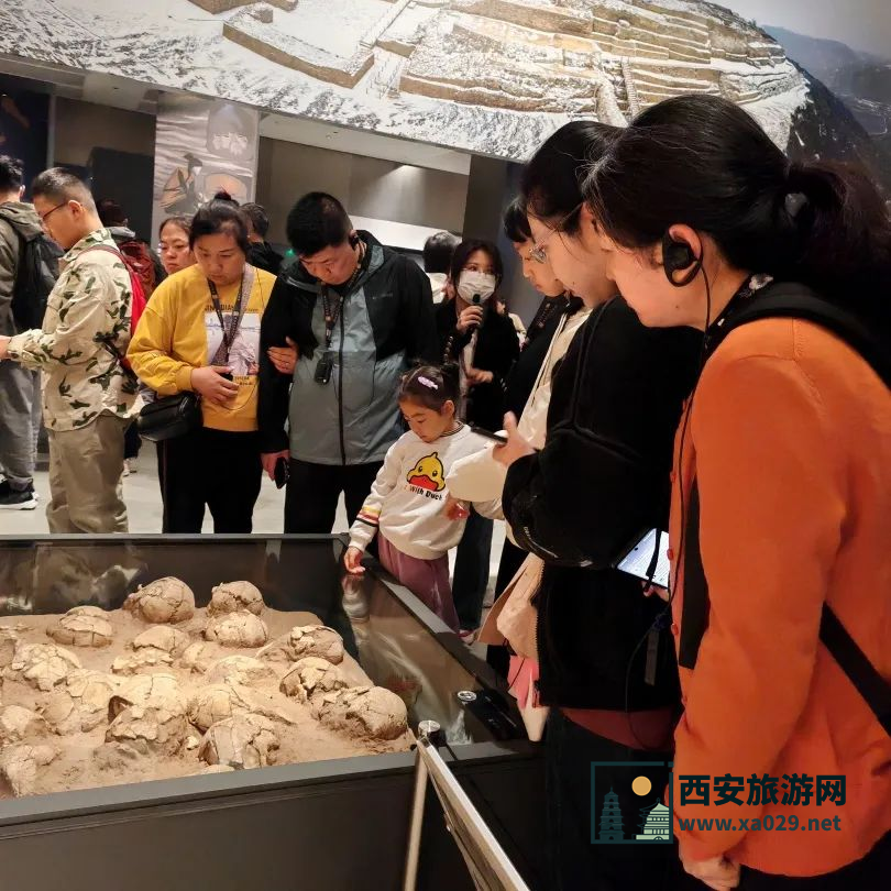 五一小长假：陕西考古博物馆吸引近三万游客参观