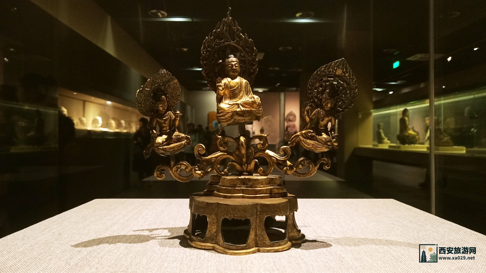 西安博物馆参观心得：历史与艺术的完美结合