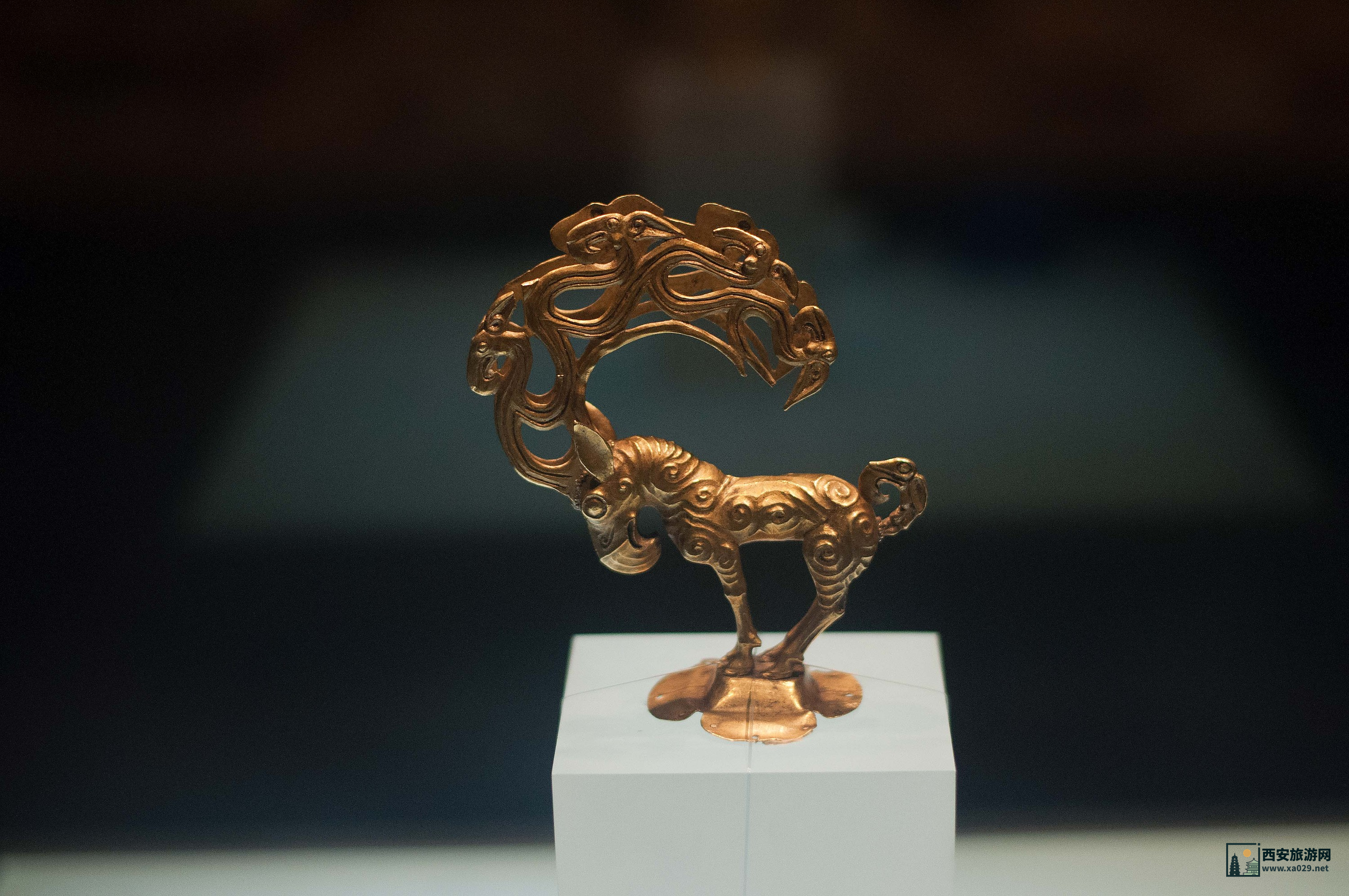 陕西历史博物馆免费票参观指南：这些珍贵文物等你来看