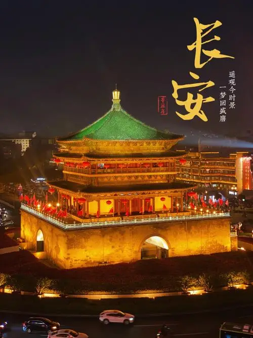 西安自由行宠物有限公司：专业宠物服务，畅游无忧