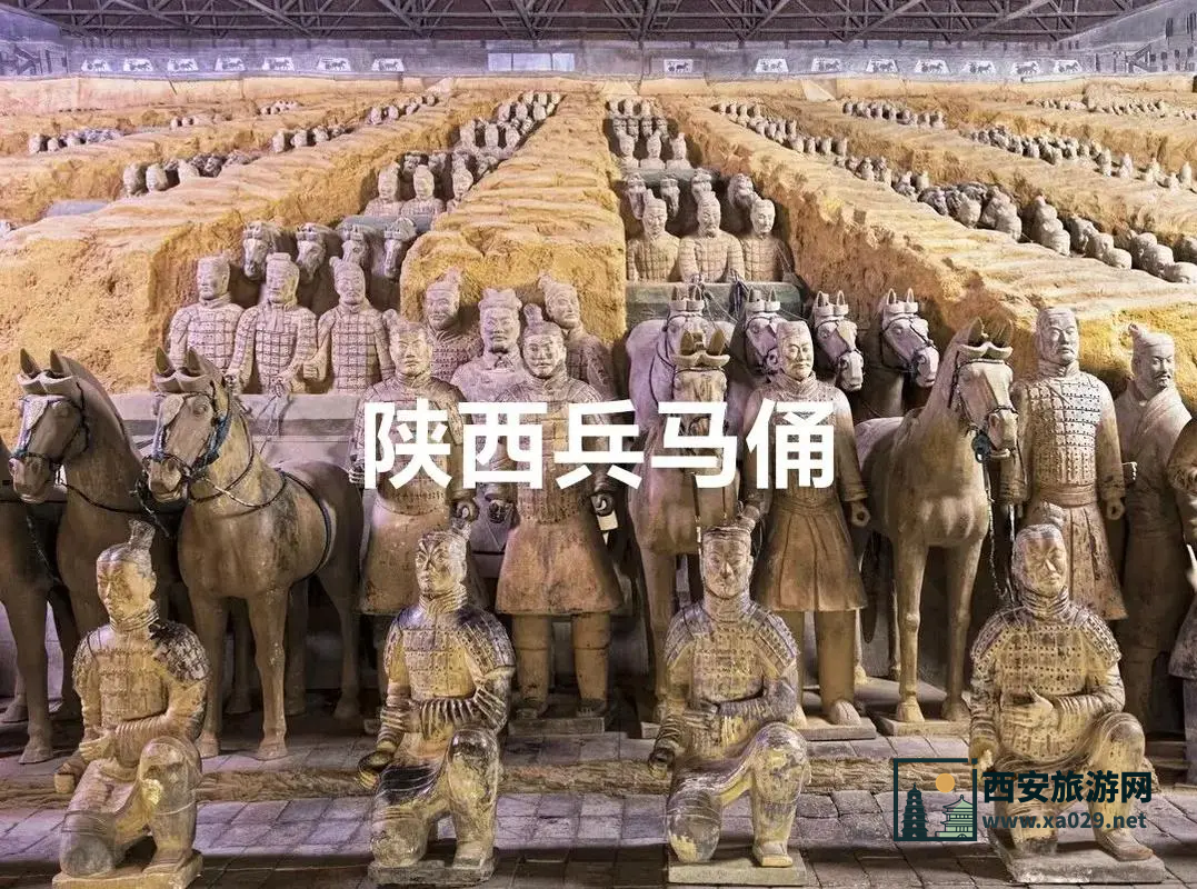 兵马俑导游预约方法详解