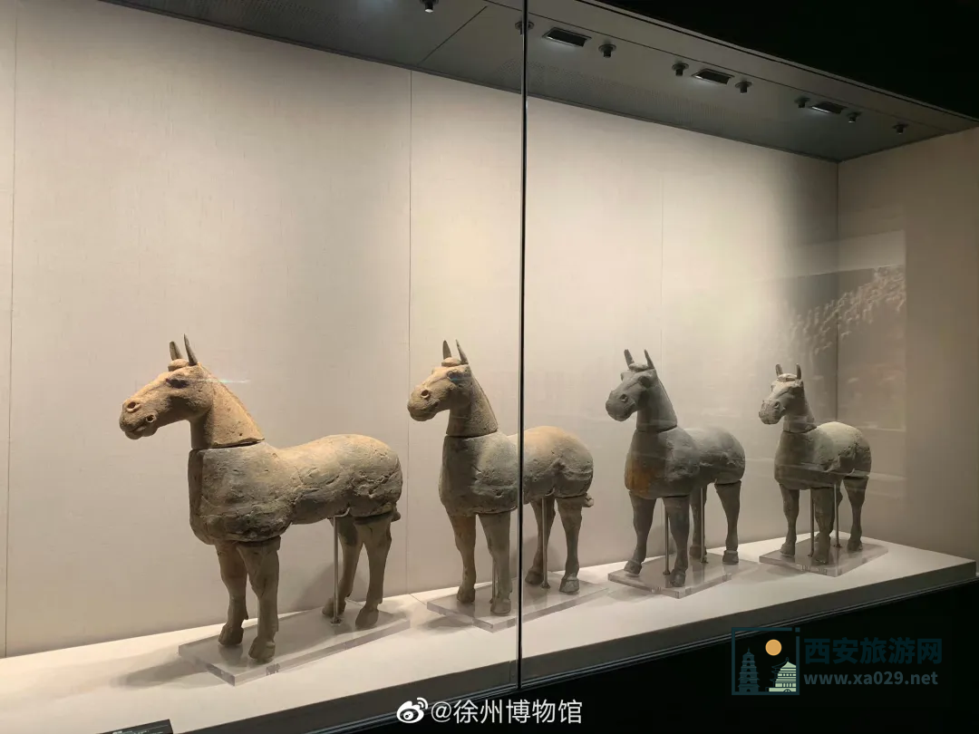 徐州博物馆基本介绍及地址 门票免费