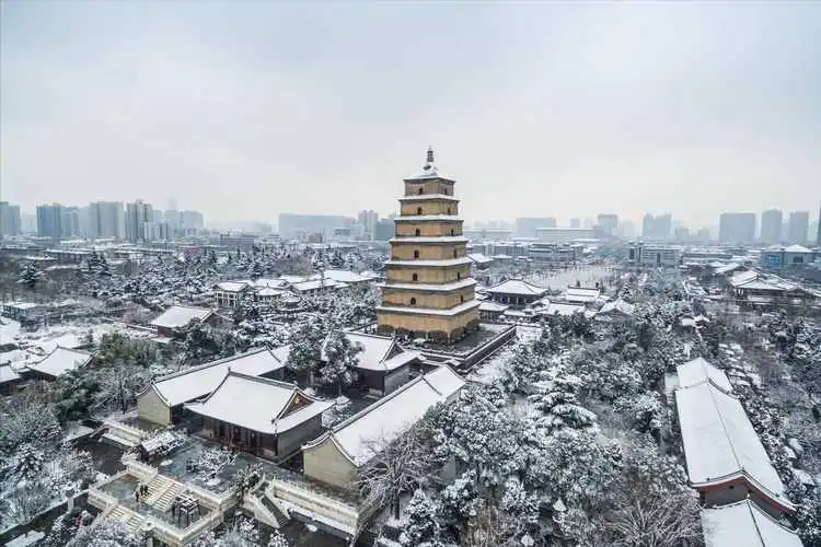 “大雁塔位于哪个省份？详细解答在这里”