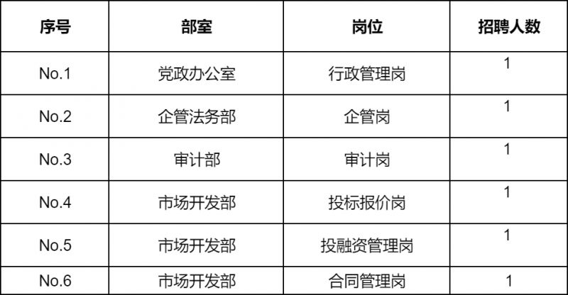 华山国际工程有限公司2024年总部职能部室招聘公告