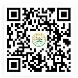 西安市雁塔区第二学校2024年教师招聘公告