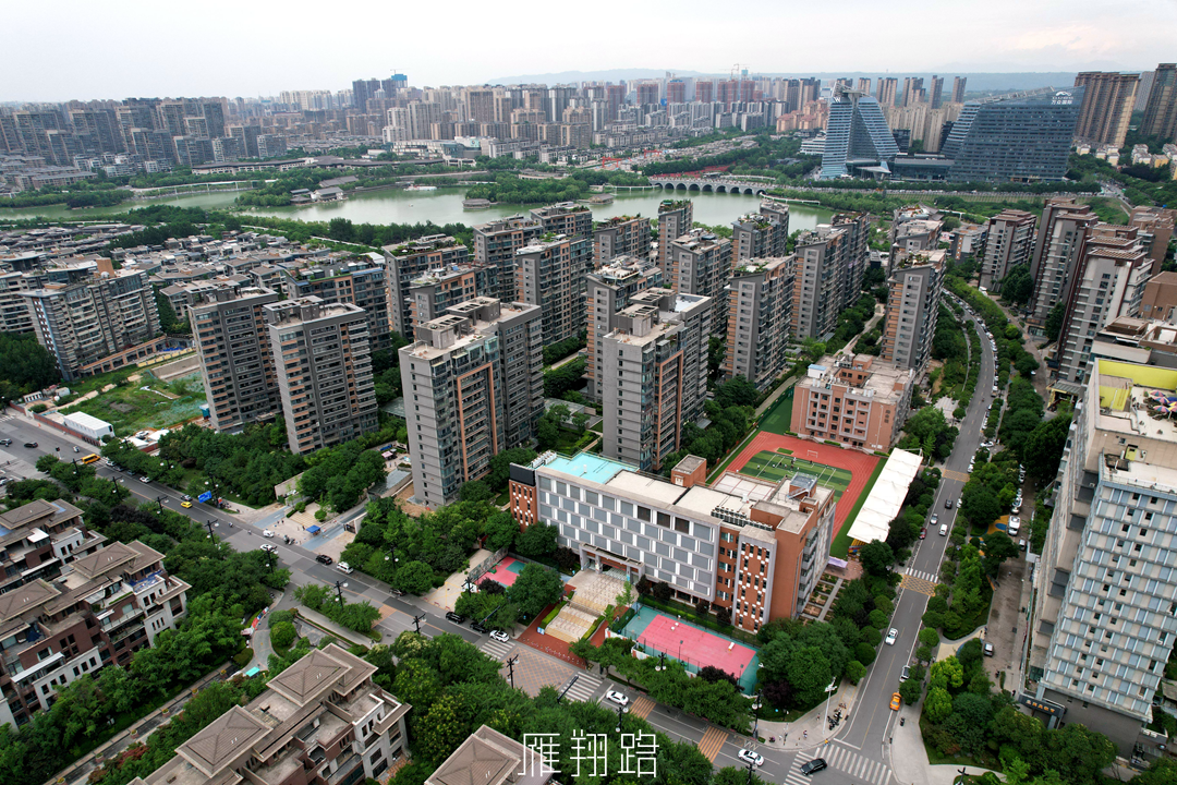 局部微调！2025年曲江新区学区划分附学校简介
