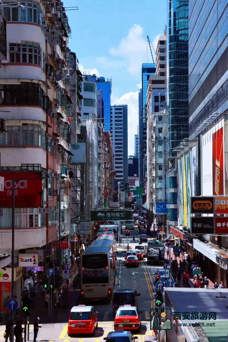 “广州一日游攻略：免费景点推荐，畅游羊城风光”