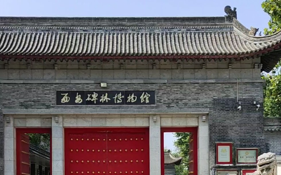 西安碑林收费吗
