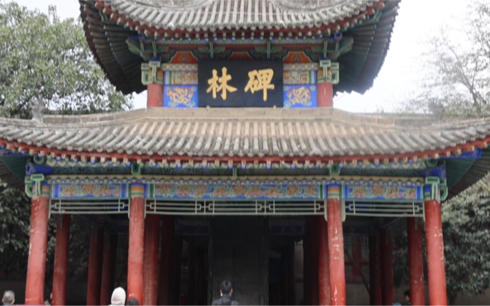 西安碑林免票政策详解