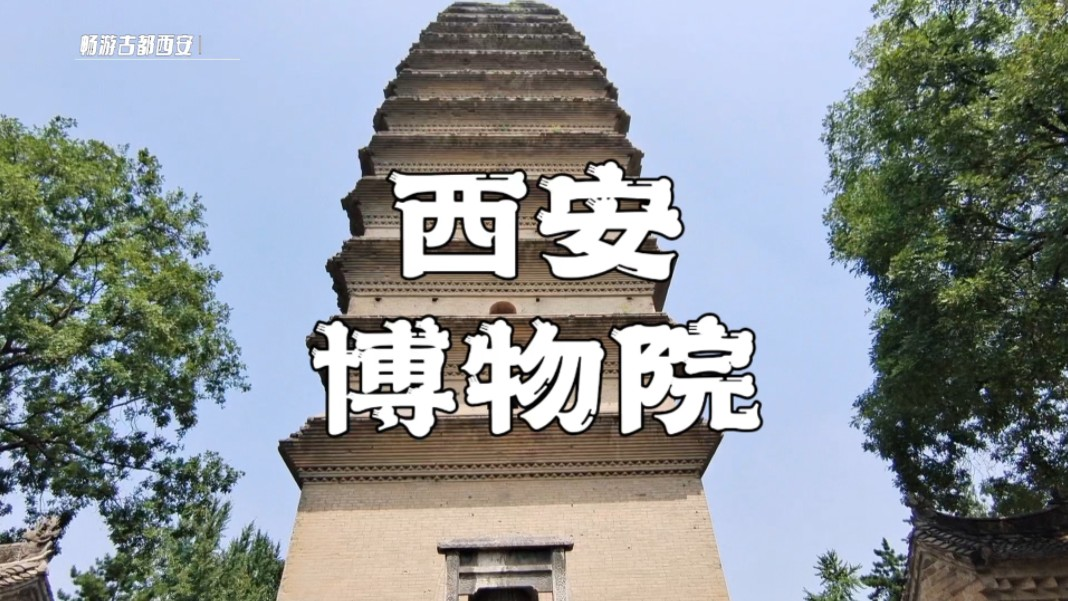 西安博物馆提早预约能否提前进入？详解预约与入场规则