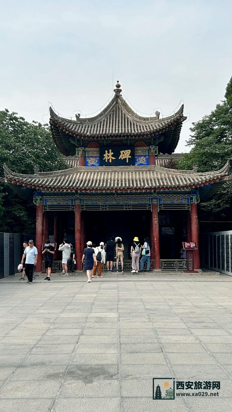 碑林博物馆：探索历史文化的绝佳去处，好玩又涨知识！