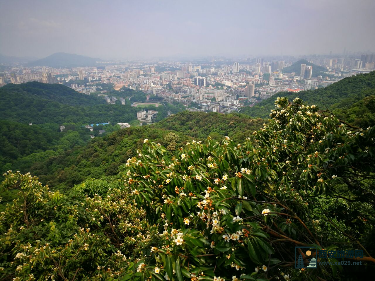 广州白云区旅游攻略：必去景点推荐