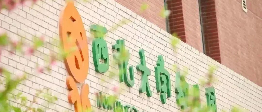 西北大学（长安校区）幼儿园2024年12月招聘公告