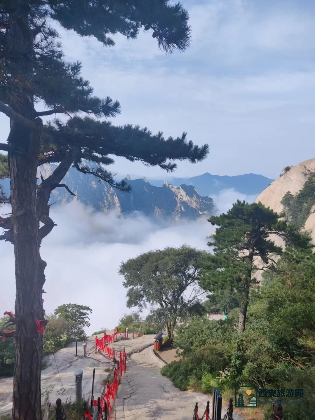 华山山底至山顶距离全解析：全程多少公里