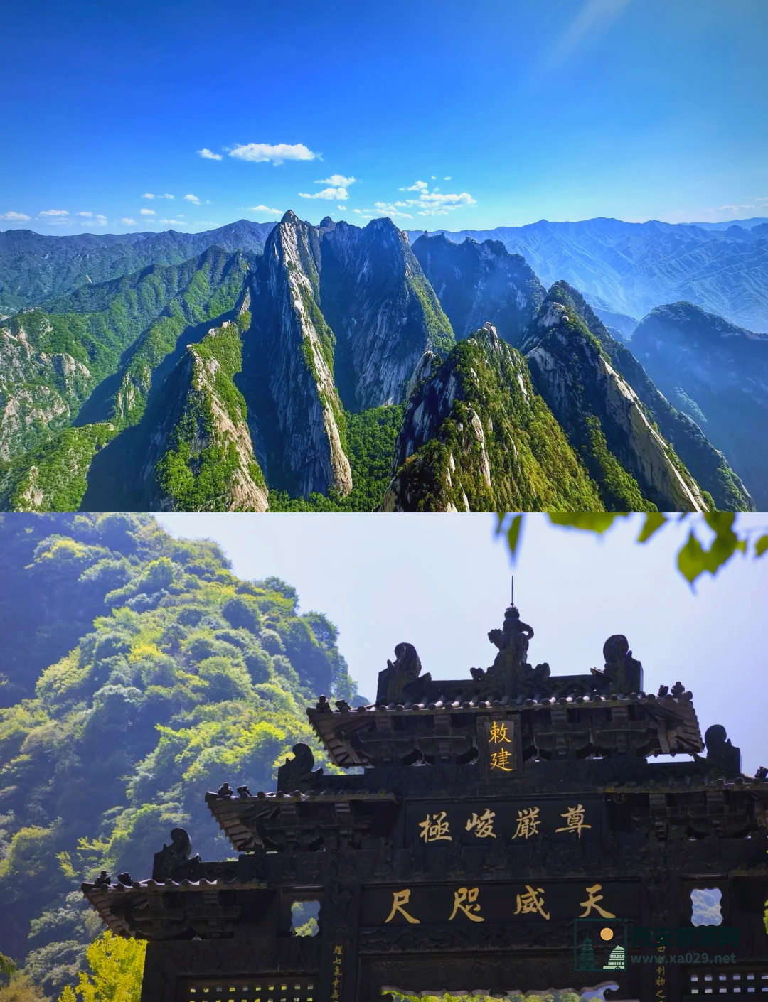 华山门票优惠政策有哪些
