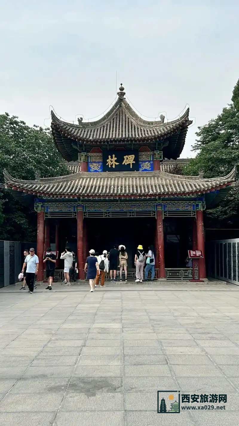 "碑林美食探索：油泼面地道风味指南！"