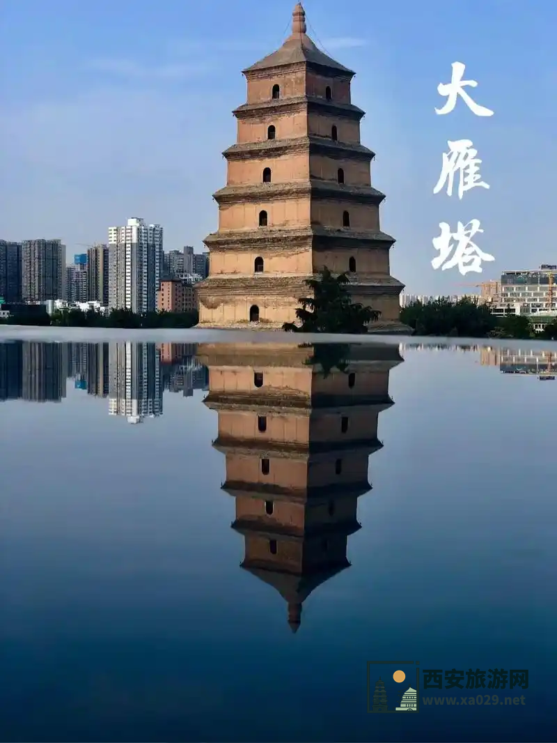 西安大雁塔与小雁塔相距多远