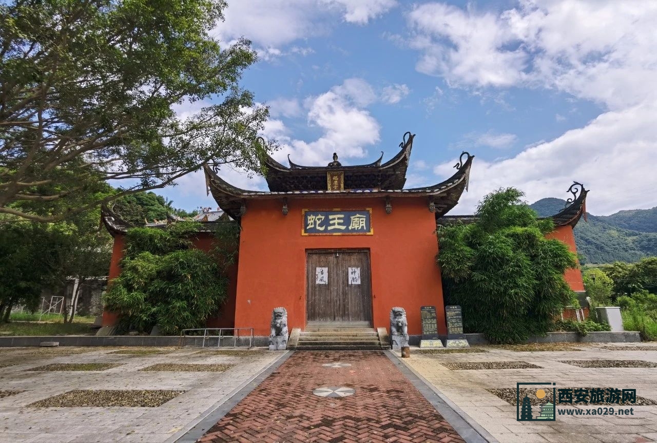 蛇年涨知识 | 关于蛇的10个最高频问题