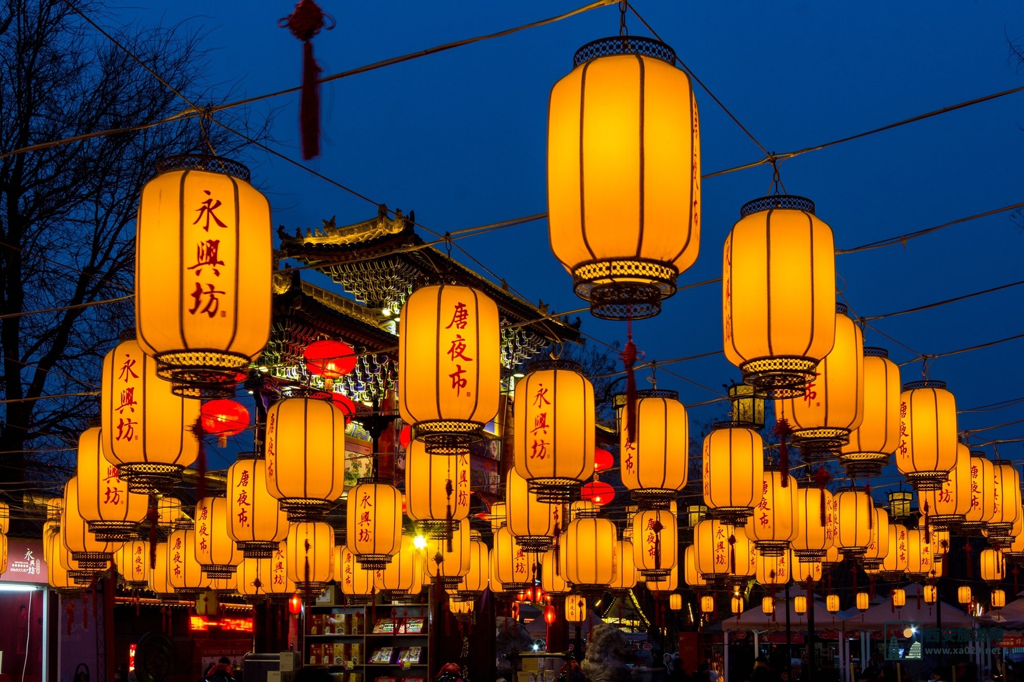 必看 | 西安旅游这些热门博物馆，春节预约指南→含陕西历史博物馆重大变更