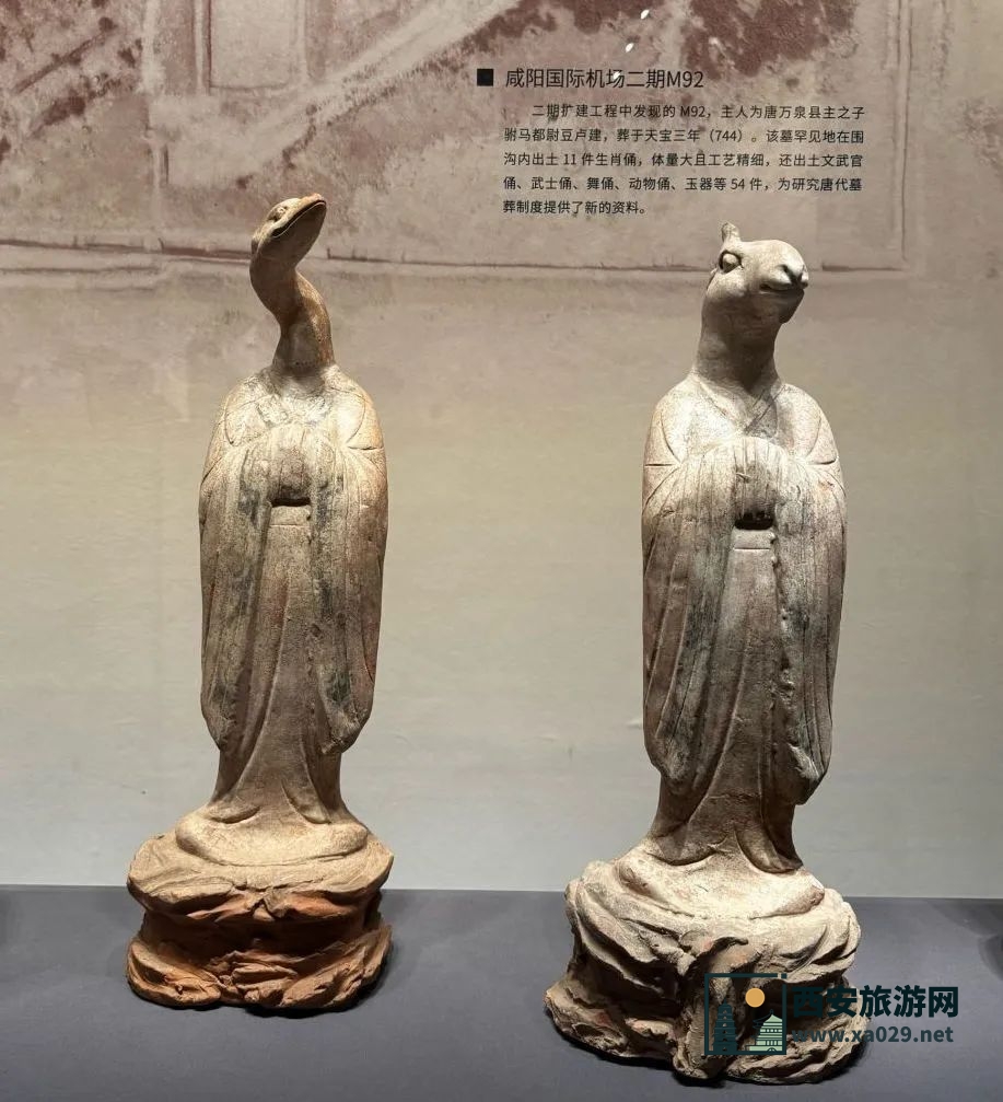 免费又人少！推荐西安这4个小众博物馆!