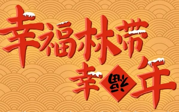 2025年西安市幸福林带春节活动（舞龙舞狮+火壶火棍+主题巡演）