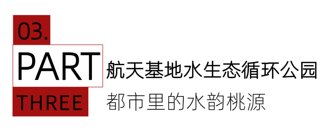 未命名(1)(12)(2).png