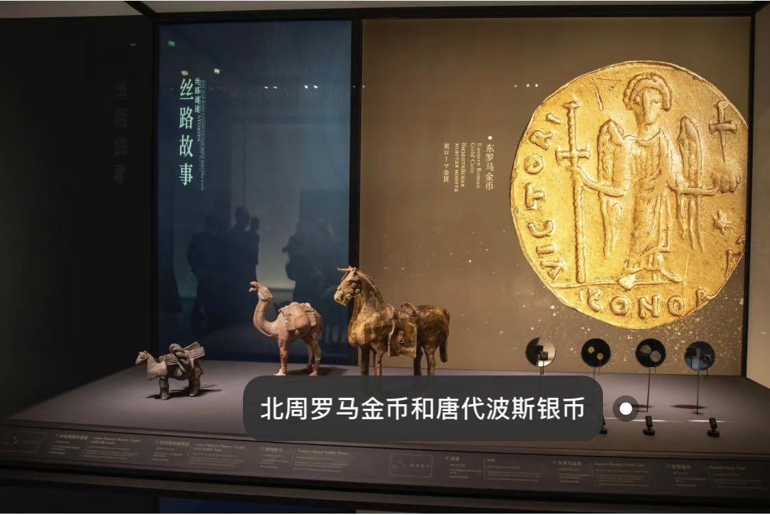 机场扩建，发现几千座古墓！于是…在原地开了家博物馆！