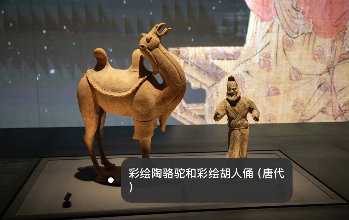 机场扩建，发现几千座古墓！于是…在原地开了家博物馆！