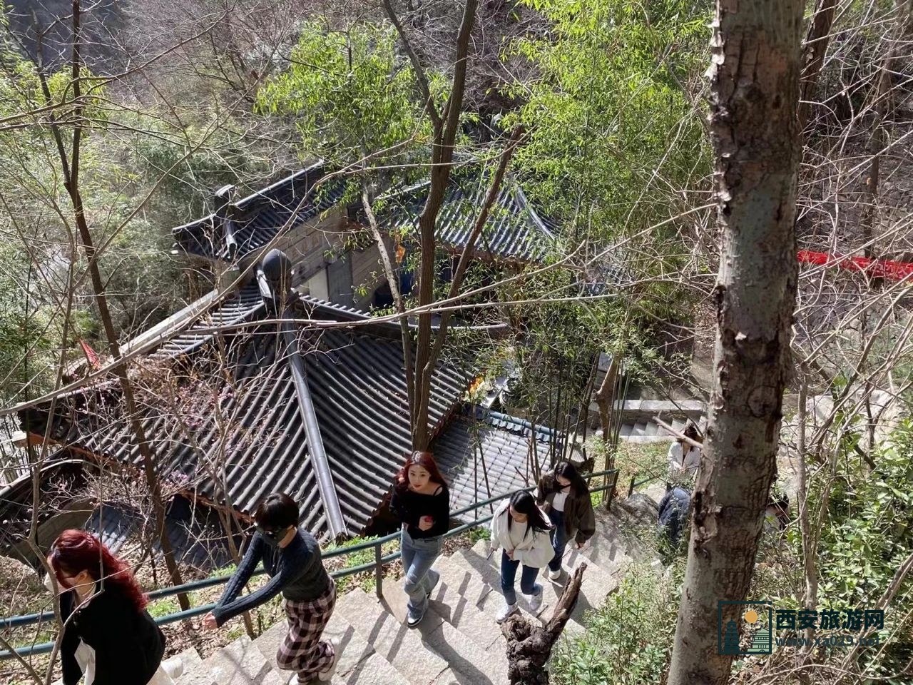 西安长安区净业寺登山参寺赏花（附交通指南）