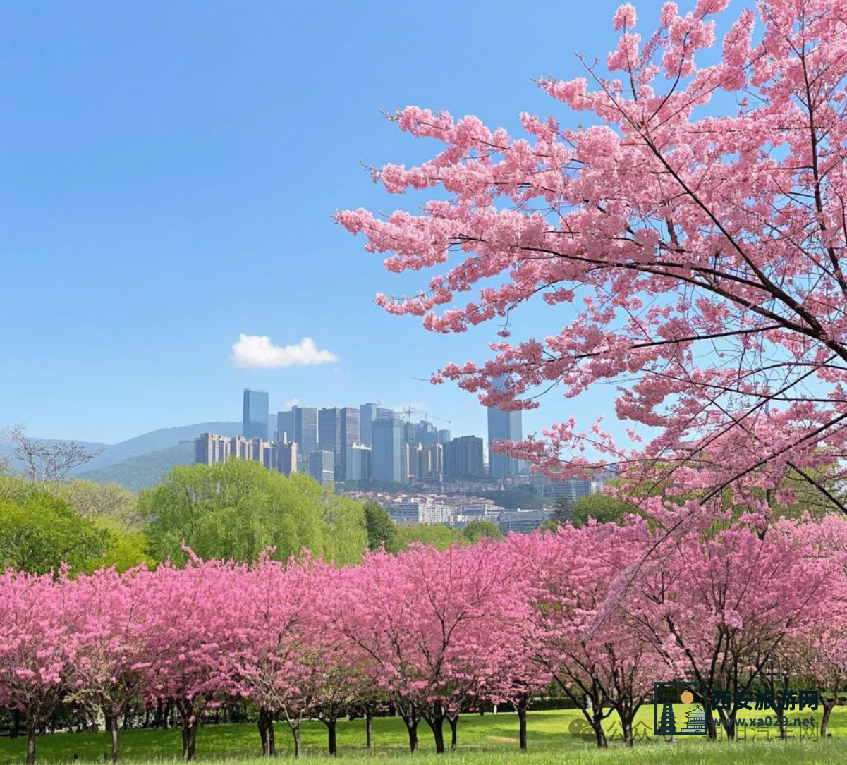 3月份全国赏花最适合自驾出行的10条线路