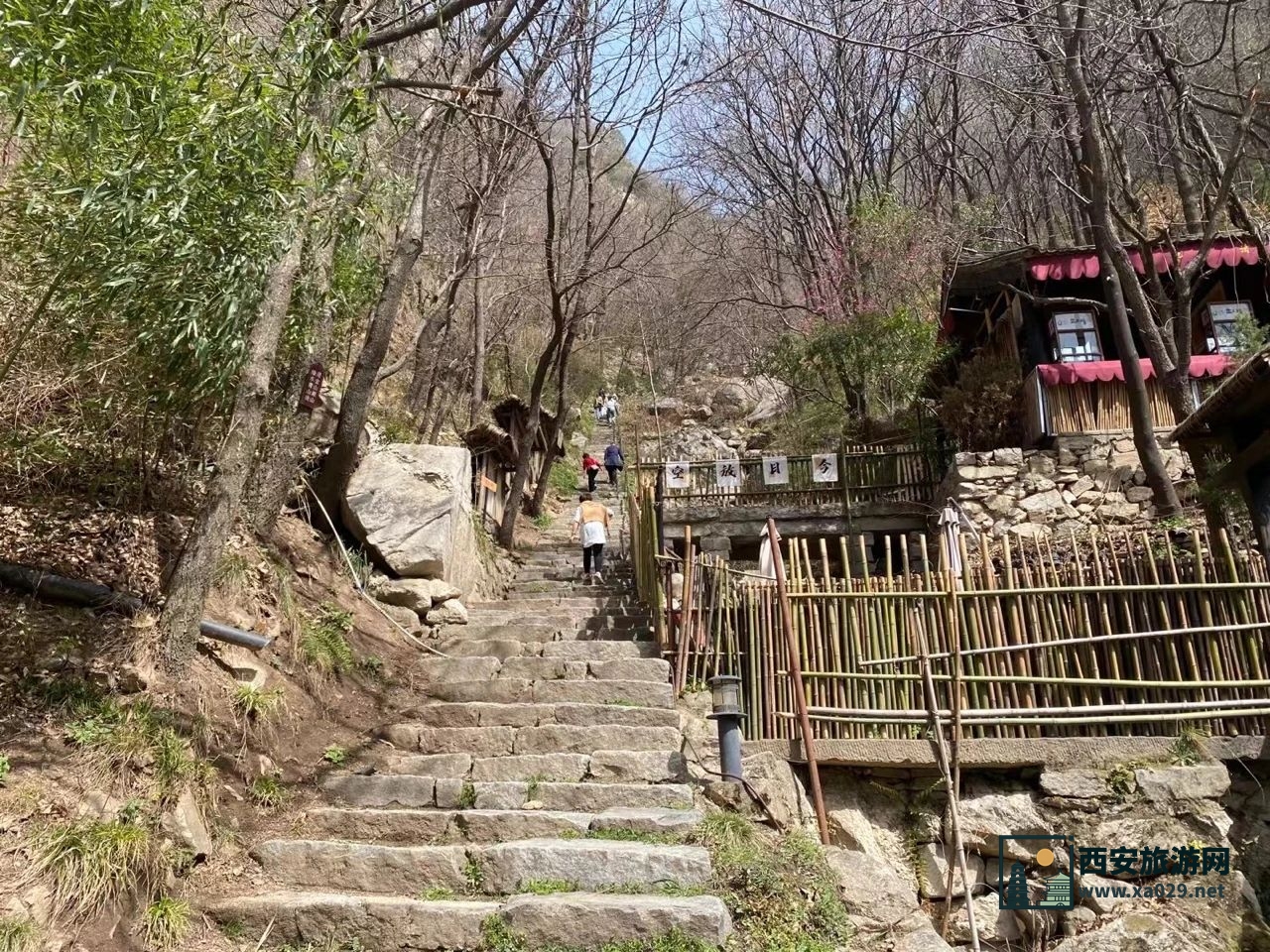 西安长安区净业寺登山参寺赏花（附交通指南）