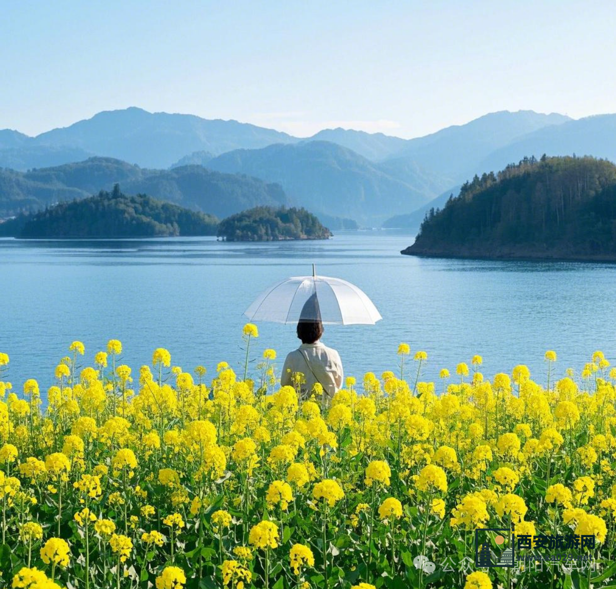 3月份全国赏花最适合自驾出行的10条线路