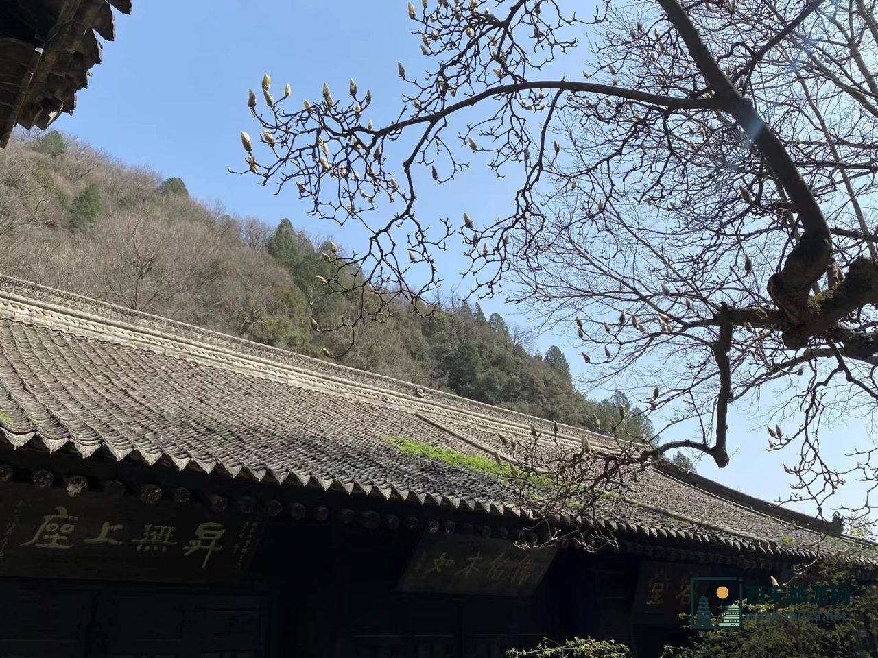 西安长安区净业寺登山参寺赏花（附交通指南）