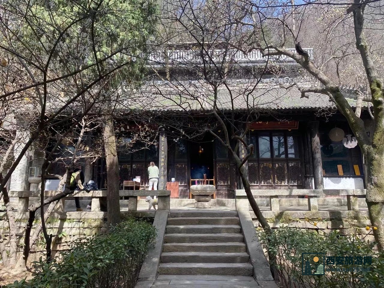 西安长安区净业寺登山参寺赏花（附交通指南）