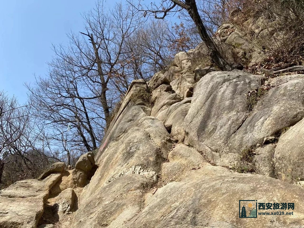 西安长安区净业寺登山参寺赏花（附交通指南）