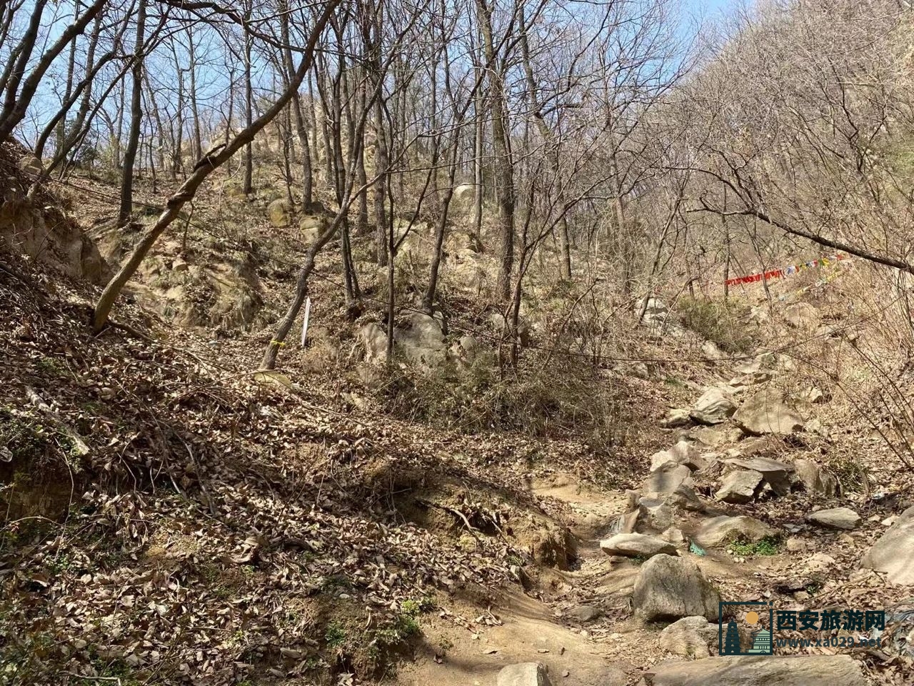 西安长安区净业寺登山参寺赏花（附交通指南）