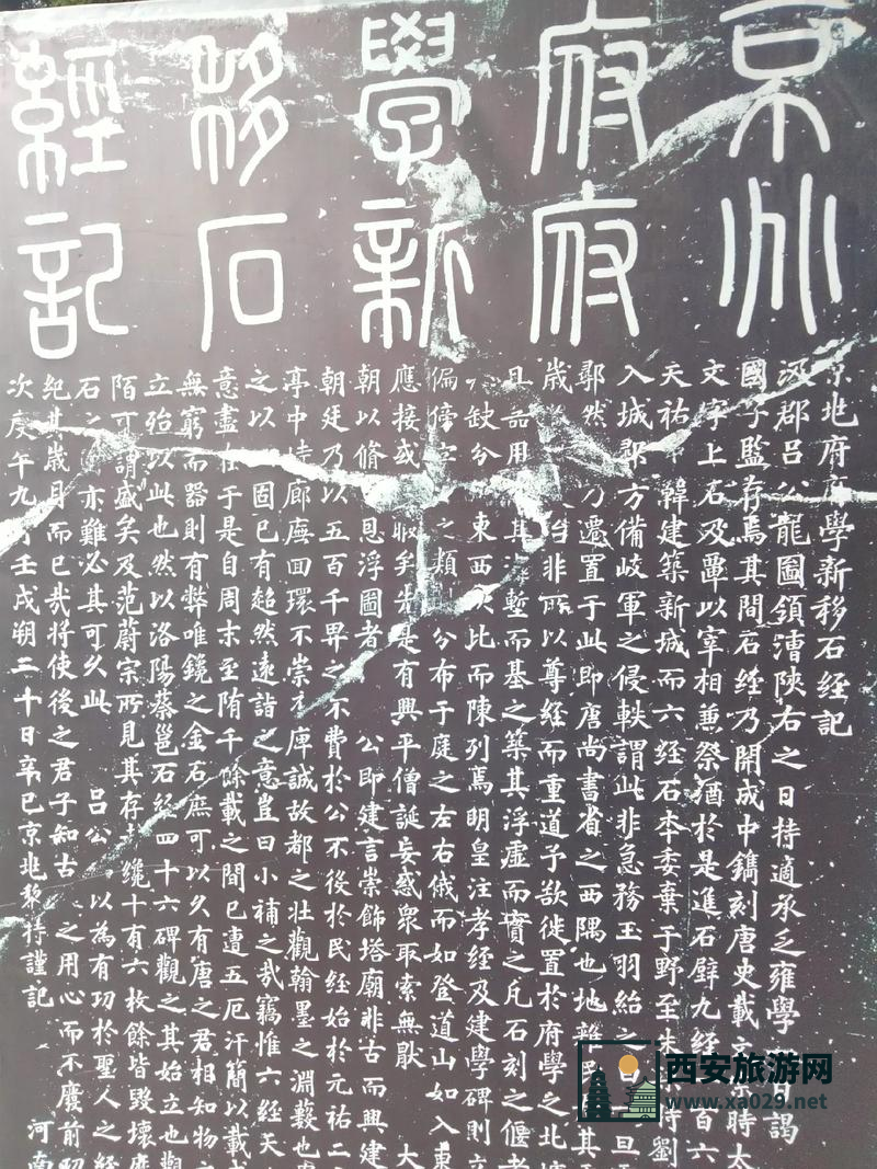 西安碑林博物馆在哪