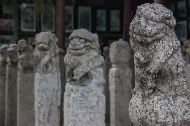 藏在碑林里的国宝