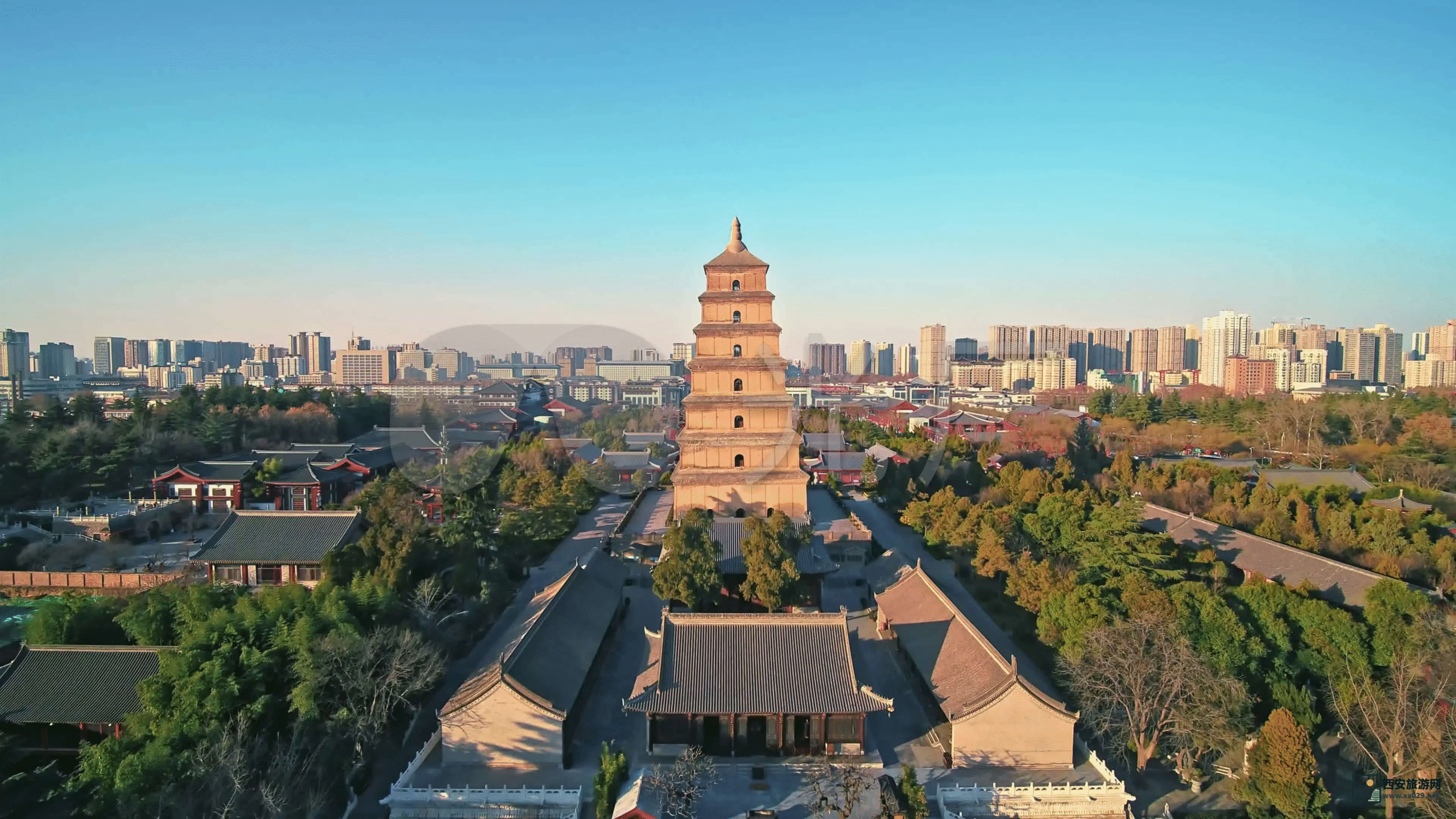 西安大雁塔2025年最新免票政策：儿童/老人/特殊群体全指南