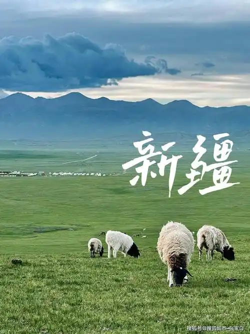 新疆旅游必去攻略