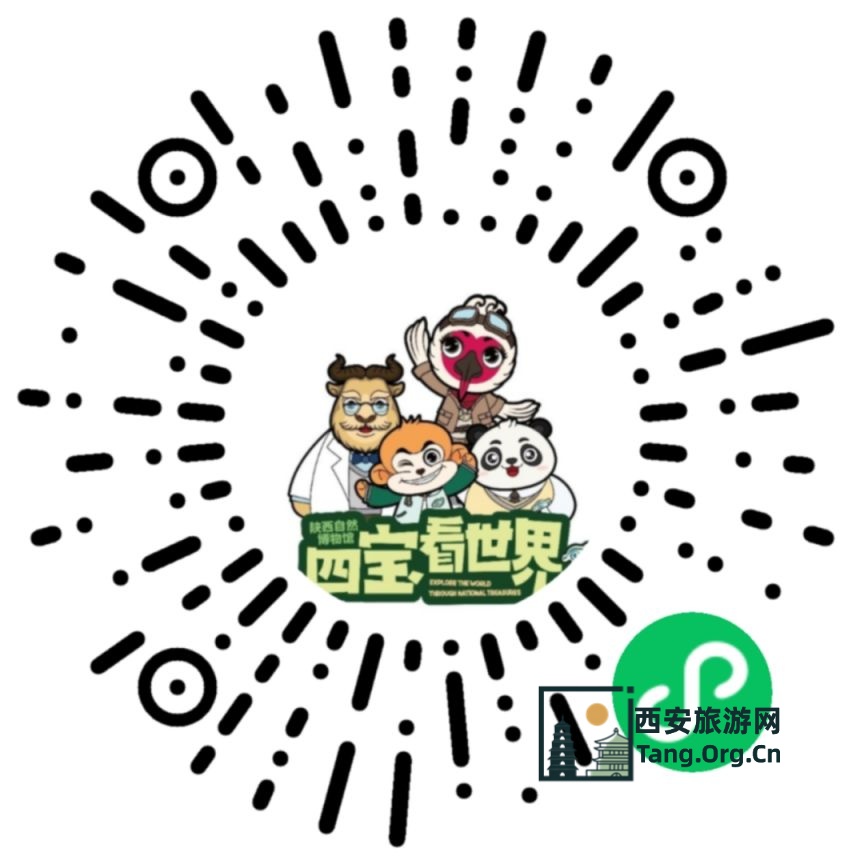 陕西自然博物馆2025年端午节开放公告及活动指南