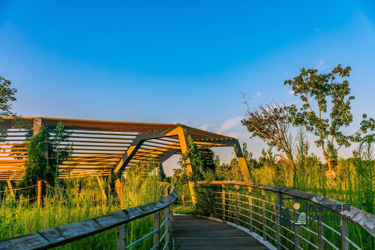 西安旅游攻略 | 西安端午节景点超全预约攻略+小众路线！